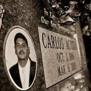 Meet your Posher, Rose